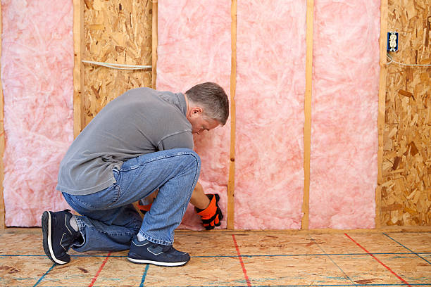 Best Residential Insulation in Friars Point, MS