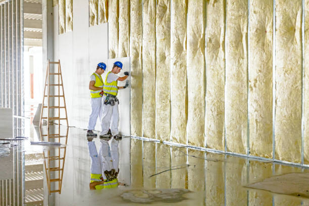 Best Insulation for Specific Applications in Friars Point, MS